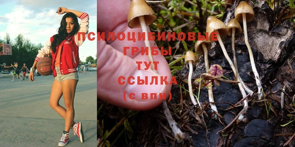 крисы Зеленодольск