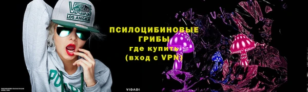 крисы Зеленодольск